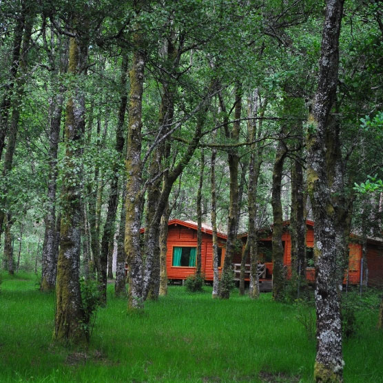 MONTES DE LABOREIRO